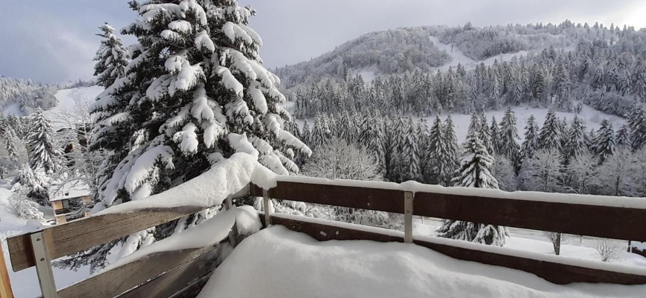 Les Oursons Du Hohneck Apartment La Bresse Bagian luar foto